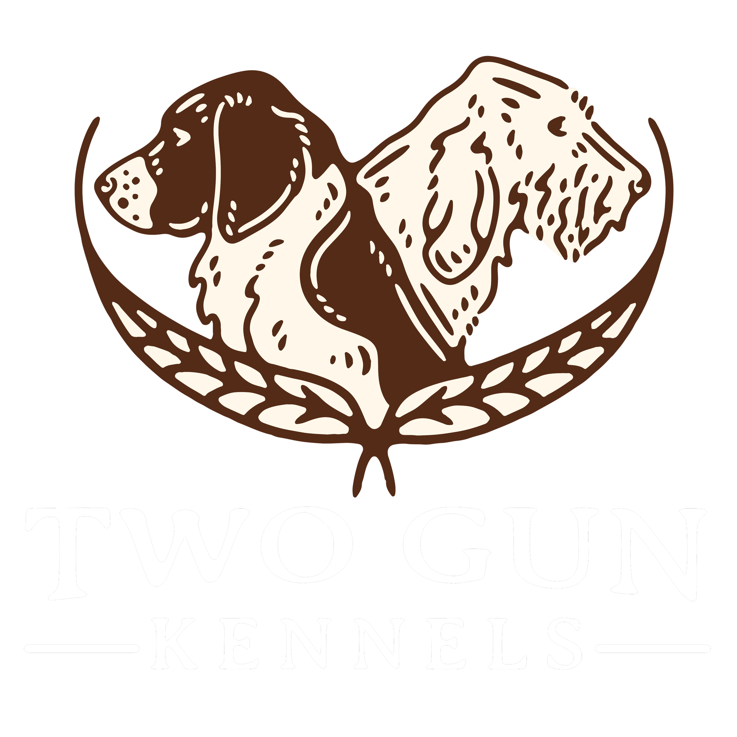 希少 GUN DOG デモテープ Fall Honor / PTP K Two Gun Kennels: Drentsche Patrishonden & Spinoni Italiani
